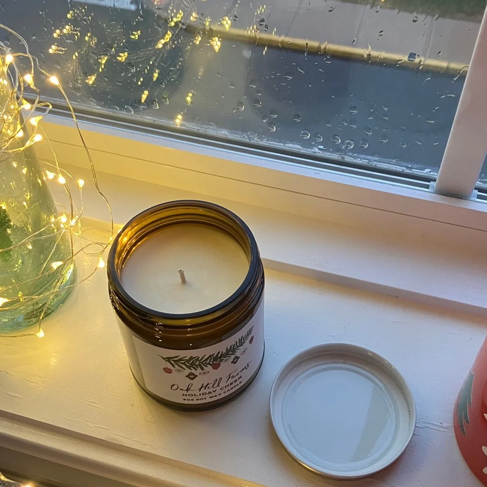 Oak Hill Farms Soy Candle MSRP $22 Orange Peel, Cinnamon, Lemon, Apple Cider